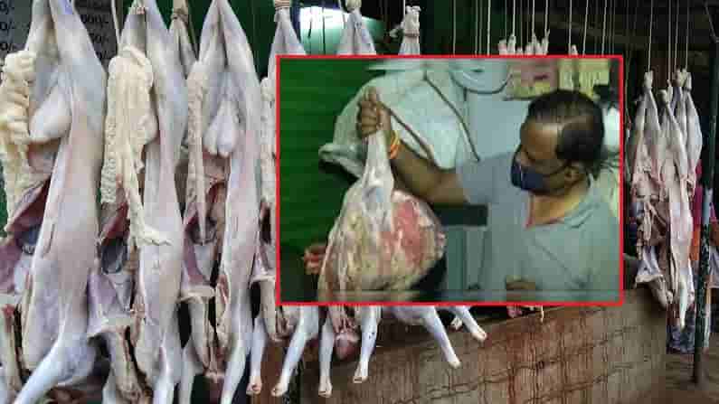 విజయవాడలో మటన్ మాఫియా రెచ్చిపోతోంది...