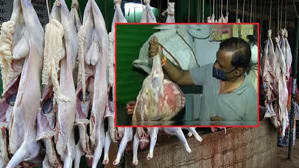 విజయవాడలో మటన్ మాఫియా రెచ్చిపోతోంది...