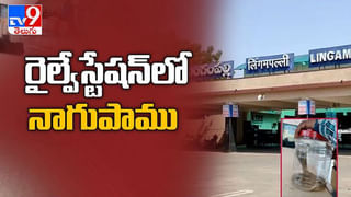 వైభవంగా ప్రారంభమైన తుంగభద్ర పుష్కరాలు