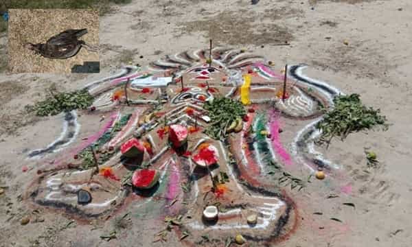 ఇండోర్ స్టేడియం క్రికెట్ పిచ్పై చేతబడి కలకలం
