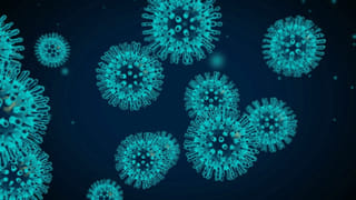 జీహెచ్ఎంసీ ఎన్నికల పోరు.. బీజేపీ మేనిఫెస్టోను విడుదల చేయనున్న మహారాష్ట్ర మాజీ ముఖ్యమంత్రి..