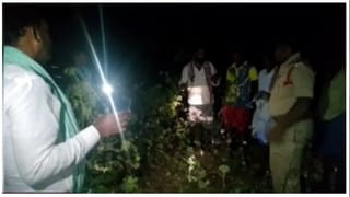 తిరుమలలో ఈనెల 30వ తేదీన కార్తీక దీప మహోత్సవం.. పాల్గొననున్న విజయేంద్ర సరస్వతి..