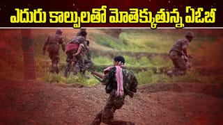 నివర్ తుఫాన్ ఎఫెక్ట్.. చెట్టు మీద పడి వ్యక్తి మృతి.. సిసి కెమెరాలో రికార్డైన దృశ్యాలు…