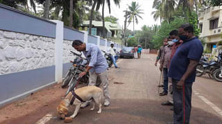 ఆచార్య అప్‌డేట్ : కొత్త బాధ్యతలు తలకెత్తుకున్న కొరటాల, ఇకపై జోరు చూపిస్తారట