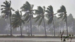 నివర్ తుఫాన్ ఎఫెక్ట్: రాయలసీమలో వర్ష బీభత్సం.. రాకపోకలు బంద్.. బీఈడీ, ఎంఈడీ పరీక్షలు వాయిదా