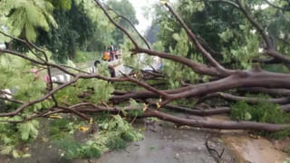 తీరం దాటిన ‘నివర్’ తుఫాన్‌.. ఏపీలో ఆ నాలుగు జిల్లాల్లో భారీ వర్షాలు.. ఇంట్లోనే ఉండాలన్న విపత్తుల శాఖ కమిషనర్‌