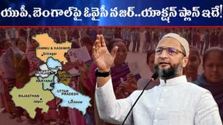 సినిమా నిర్మాణం కోసం మేకలను దొంగలించిన హీరోలు