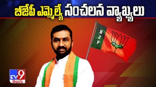 తొలి రోజు అమ్మకాలు నై… రెండో రోజు రూ. 250.. హైదరాబాద్‌లో పటాకుల వ్యాపారం