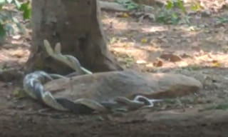 దుబ్బాక బైపోల్: హైదరాబాద్‌ లో హైటెన్షన్‌.!