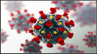 Brain eating amoeba: మెద‌డు తినే అమీబా.. భ‌య‌భ్రాంతుల‌కు గురి చేస్తున్న మ‌రో సూక్ష్మ‌జీవి