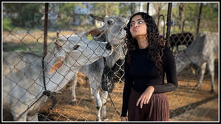 అమూల్ ప్రాజెక్ట్ ను ప్రారంభించిన సీఎం జగన్