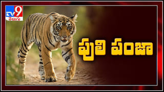 Cyberabad CP Sajjanar Press Meet LIVE || Instant Mobile Loan App : మొబైల్ లోన్ యాప్ పై సైబరాబాద్ సిపి సజ్జనార్ ప్రెస్ మీట్ లైవ్