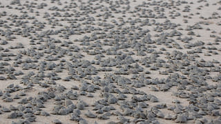 Telangana Inter Students: ఇంటర్ విద్యార్థులకు గుడ్ న్యూస్ చెప్పనున్న తెలంగాణ సర్కార్.? అదేంటంటే.!!