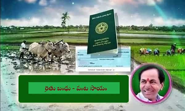 తెలంగాణ అన్నదాతల్లో ఆనందం.. రైతుల ఖాతాల్లో పంట సాయం నగదు జమ చేసిన సర్కార్