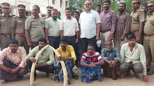 చెన్నై: అంగడిలో తనిఖీలు.. అటవీశాఖ అధికారుల సాయంతో ఏనుగు దంతాలు విక్రయిస్తున్న ముఠా అరెస్టు