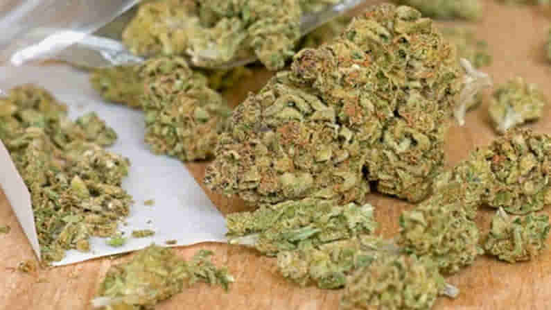 Visakhapatnam Ganja case: విశాఖలో వరసుగా పట్టుబడుతున్న గంజాయి స్మగ్లర్లు.. కీలక వ్యాఖ్యలు చేసిన ఎస్ఈబీ ఏడీసీబీ అజిత..