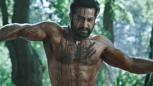 సరైన సినిమా కోసం తారక రాముడు వెయిటింగ్, బొమ్మ పడితే పాన్ ఇండియా దద్దరిల్లాలి అంటోన్న ఫ్యాన్స్ !