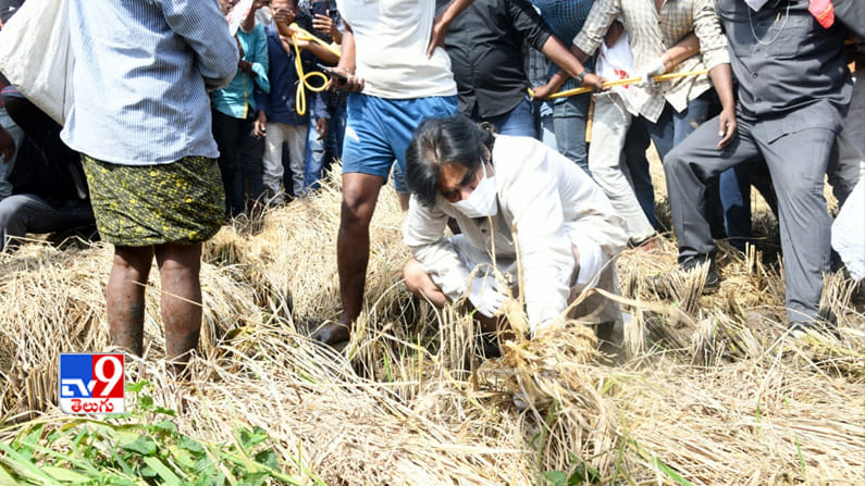 దెబ్బతిన్న పంటను పరిశీలిస్తూ..