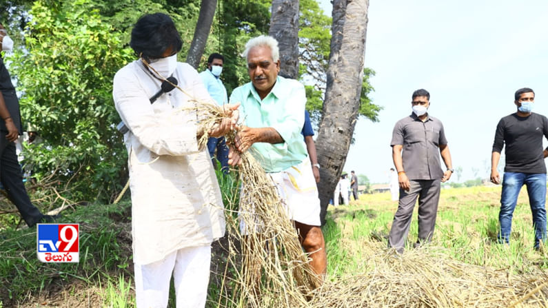 దెబ్బతిన్న పంటను పరిశీలిస్తూ..