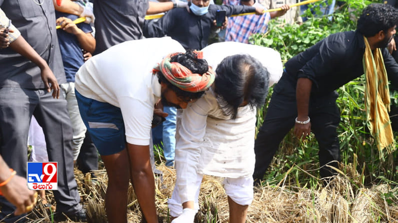 దెబ్బతిన్న పంటను పరిశీలిస్తూ..