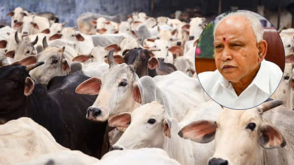 Anti cow slaughter Bill: గోవధ నిషేధ ఆర్డినెన్స్ను ఆమోదించిన కర్ణాటక కేబినెట్.. ఇదే బాటలో మరిన్ని రాష్ట్రాలు