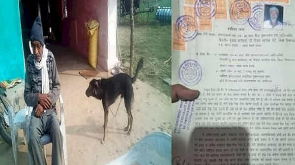 Love for dogs: కొడుకుపై కోపం..పెంపుడు శునకానికి రెండెకరాల భూమి రాసిన తండ్రి..చివర్లో ట్విస్ట్ ఏంటంటే..?