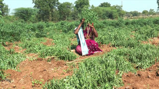 టీవీ9 ఎఫెక్ట్: నకిలీ డాక్టర్ల పై కథనాలకు స్పందించిన పోలీసులు, అదుపులోకి పలువురు. క్లీనిక్ లు మూసి పారిపోయిన మరికొందరు