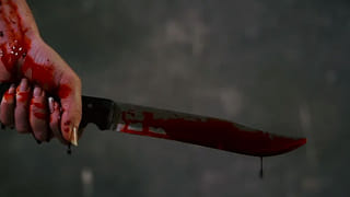 14 వ అంతస్థు నుంచి కింద పడి రష్యన్ శాస్త్రవేత్త మృతి, స్నేహితుడే చంపాడా ? అంతా మిస్టరీ, దర్యాప్తు ప్రారంభం