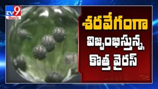 YCP నేతల మధ్య భగ్గుమన్న విబేధాలు. నీ బలగమెంత? నా బలమెంత? పార్టీ ఆశీస్సులు నీకున్నాయా? నాకున్నాయా?