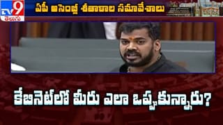 Nellore  Car Blast : రెండు అంతస్తు ఎత్తులో ఎగిరిపడ్డ కారు  AC గ్యాస్ లీకేజ్  కారణంగా జరిగింది