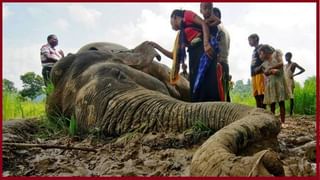 ISL 2020-21: మరో విజయాన్ని ఖాతాలో వేసుకున్న బెంగళూరు..క్రేజీ రికార్డ్ నెలకొల్పిన సునీల్ ఛెత్రి