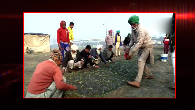 నిరసనలో సరికొత్త రూట్, ఢిల్లీలోని బురారీ మైదానమే పొలంగామారిన వైనం, నిరంకారీ సమాగం గ్రౌండ్ లో ఉల్లి పంట 'ప్రత్యక్షం'