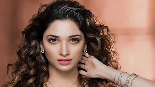 వెబ్ సిరీస్తో రీ ఎంట్రీ ఇస్తున్న మిల్కీబ్యూటీ.. ఆహా ప్లాట్ ఫాం కేంద్రంగా విడుదల చేసేందుకు సన్నాహాలు..