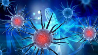 Coronavirus India: దేశంలో తగ్గుముఖం పడుతున్న కరోనా కేసులు, మరణాలు.. తాజాగా ఎన్ని నమోదయ్యాయంటే..?