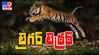 GHMC Election Results 2020 :కొనసాగుతున్న ఓట్ల లెక్కింపు.