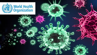 అమెరికాకు హ్యాకర్ల సెగ.. వివిధ ప్ర‌భుత్వ శాఖ‌ల‌పై సైబ‌ర్ నేర‌గాళ్లు భారీగా మాల్‌వేర్‌తో దాడులు..!