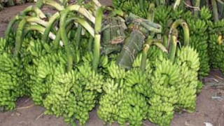 తెగని తగవు: నా వంతు అంటూ అమర్ నాథ్ ఎంట్రీ, సాయినాథుని సాక్షిగా సాగరనగరంలో కొనసాగుతోన్న వెలగపూడి వర్సెస్ వైసీపీ