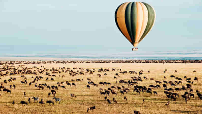 Hot air balloon Safari: ఇండియన్ టూరిస్టులకు శుభవార్త.. ఆఫ్రికా అడవుల్లోనే కాదు ఇక మనదేశంలోనూ అలా చూడొచ్చు...