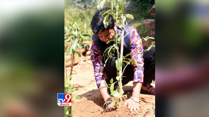 గ్రీన్ ఇండియా ఛాలెంజ్ ను స్వీకరించి మొక్కలు నాటిన బిగ్ బాస్ సెకండ్ రన్నర్ సింగరేణి ముద్దుబిడ్డ ఇస్మార్ట్ సోహెల్.