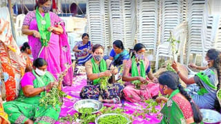 కీలక నిర్ణయం తీసుకున్న ఆంధ్రప్రదేశ్ సర్కార్.. అమ్మఒడి పథకానికి నమోదు గడువు పొడిగింపు..