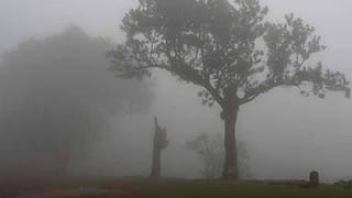 Cm Kcr Adopted Daughter: పెళ్లి కూతురుగా ముస్తాబయిన సీఎం కేసీఆర్ దత్తపుత్రిక.. పట్టు బట్టలు, గోల్డ్ నెక్లెస్ పెట్టి ఆశీర్వదించిన సీఎం సతీమణి..