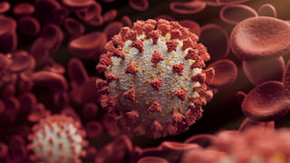 బాక్సింగ్ డే టెస్టు: టీమిండియా జట్టును ప్రకటించిన బీసీసీఐ.. రాహుల్‌కు మరోసారి నిరాశే..