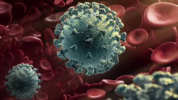 Strain Virus: ఆంధ్రప్రదేశ్ను వణికిస్తున్న స్ట్రెయిన్ వైరస్.. ఇప్పటి వరకు యూకే నుంచి ఎంతమంది వచ్చారంటే..