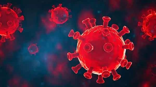 CORONAVIRUS: కరోనా వైరస్ రూపాంతరం..! వ్యాక్సిన్ల మార్పు అనివార్యమా? సైంటిస్టుల తాజా పరిశోధన తేలింది ఇదే!