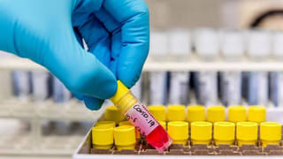 పశ్చిమగోదావరి జిల్లా ఏజెన్సీని వణికిస్తోన్న పులి.! వరుస దాడులతో భయం.. భయం, అటవీప్రాంతంలో 4 ట్రాప్‌ కెమెరాలు