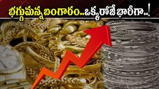 మరికొద్దిసేపట్లో హైదరాబాద్‌లో 80 దేశాల రాయబారుల పర్యటన.. కోవిడ్ వ్యాక్సిన్‌ రూపకల్పనకు జరుగుతున్న పరిశోధనల చర్చ