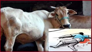 Breaking News: కోల్‏కత్తాలో భారీ అగ్ని ప్రమాదం.. రహదారి పక్కనున్న గుడిసెలు అగ్నికి ఆహుతి..