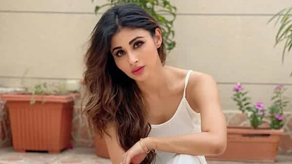 అల్లుడు అదుర్స్ లో బాలీవుడ్ భామ.. మాస్ మసాలా సాంగ్లో స్టెప్పులేయనున్న హాట్ బ్యూటీ మోని రాయ్