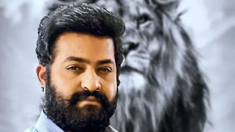 Jr NTR : యంగ్ టైగర్ ఆ యువ దర్శకుడికి ఓకే చెప్పాడట, ఇండస్ట్రీలో ఇప్పుడు ఈ అంశమే హాట్ టాపిక్ !