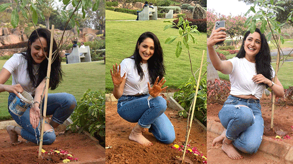 Green India Challenge : మొక్కలు నాటిన హీరోయిన్ ప్రగ్యాజైశ్వాల్.. తర్వాత ఈ ఛాలెంజ్ ఎవరికి విసిరిందంటే..